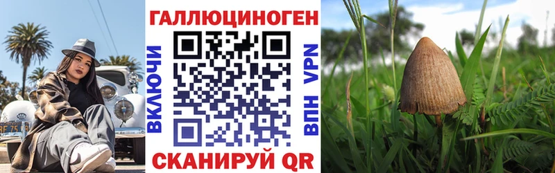 Галлюциногенные грибы мицелий Ивдель