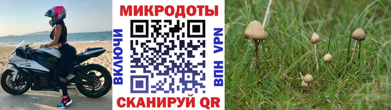 MEGA tor  Ивдель  Псилоцибиновые грибы Cubensis 